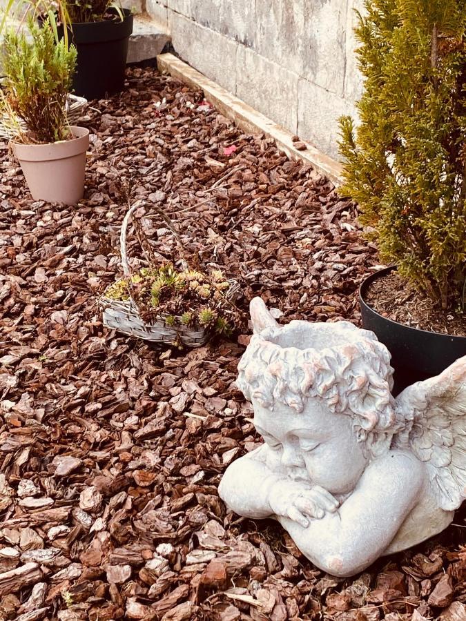Hypolite Bed and Breakfast Avesnes-sur-Helpe Buitenkant foto